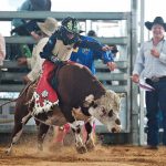 Rodeo_225140_03.jpg