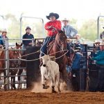 Rodeo_225140_06.jpg