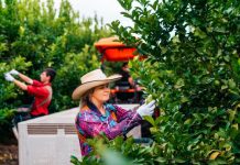 CH economy going strong