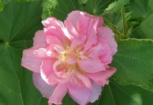 Perfect Valentine’s gift