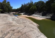 Vineyard owner prosecuted over water use