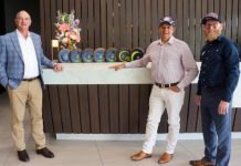 No longer a ‘dry, dusty town’