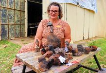 Going wild with Mount Morgan clay