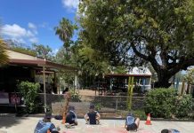 Students get creative for Remembrance Day