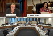 Mayor’s forensic audit halted by council