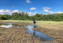 Fight the mossie bite