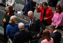 Welcome ‘Christmas present’