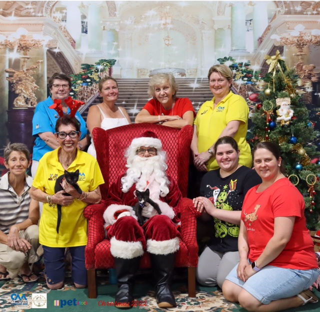 locals-urged-not-to-buy-pets-for-presents-central-queensland-today