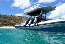 GKI fun for the holidays