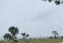 Wet, busy week for SES