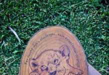 Christmas is here at Theodore