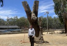 Paddleboat towns face long recovery