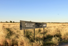 Ayrshire Downs set to expand experience