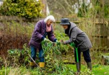 Grants to sprout community gardens and green spaces