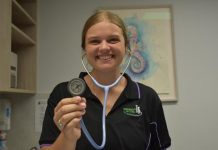 Heat in pets a serious issue