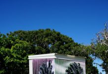 LSC street art recognised among Australia’s best