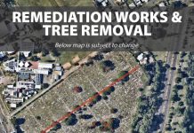 Cemetery trees to be removed