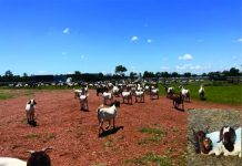 This group is the GOAT