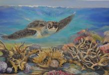 Silent auction exhibition leads the way