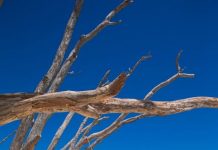 MEETINGS, FUNCTIONS AND EVENT HIRE: Stunning island location