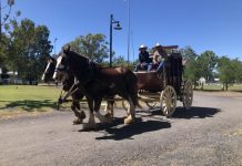 Free entry saves council money