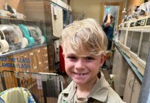 Money stolen from wildlife warrior