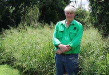 Call for major Telstra change