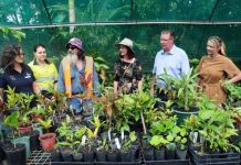 Signing up for free Tafe