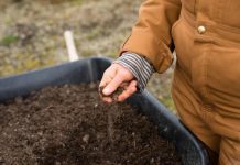 Caring for the environment is not just a fairy tale