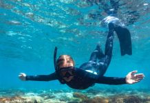 New Destination Visitor Guides hot off the press