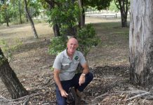 Local thefts on the rise