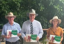 QLD Low emissions roadmap