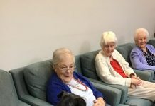 Help pets help the elderly