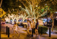 East St trees on break