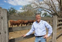 AgForce calls for urgent step in ag education