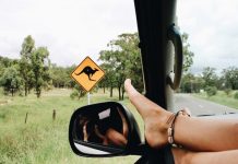 Road trip checklist: RACQ