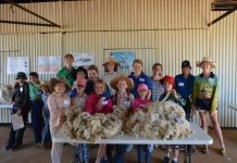 Training for young judges