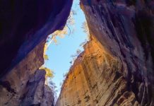 Carnarvon hits on high note on world stage