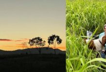 Dog tracking and training season begins