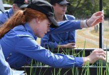 iFarm delivers new technology for RGS