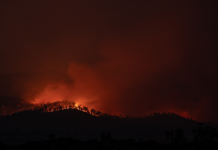 Planned burn for Mount Archer