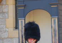 Support for monarchy carries on