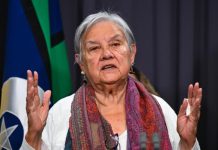 All details not necessary for referendum vote: advocate