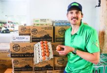 Doblo cracks the code on egg shortage