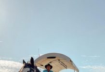 Ridgelands Show: Forty years at the show