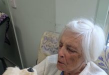 High-tech pets bring joy to seniors