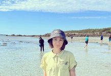 Wildlife, national parks benefit from budget spend