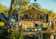 party the night away