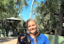 Snakes galore at the Zoo