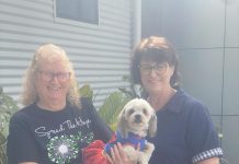 Red tape strangling vision